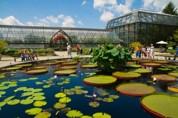 Longwood Gardens a9